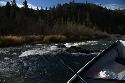 DSC_0232 (Large).JPG